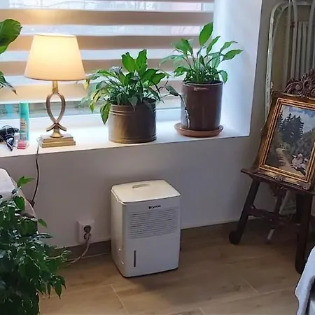 Studio In Napoca With Terrace And Wifi 公寓 *