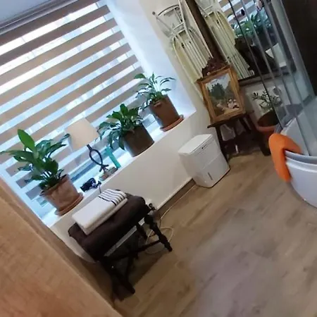 公寓 Studio In Napoca With Terrace And Wifi